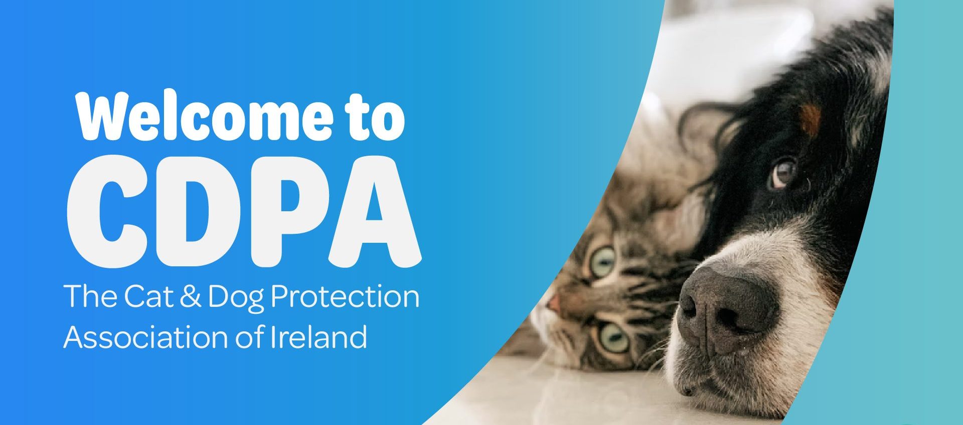 Welcome to CDPA