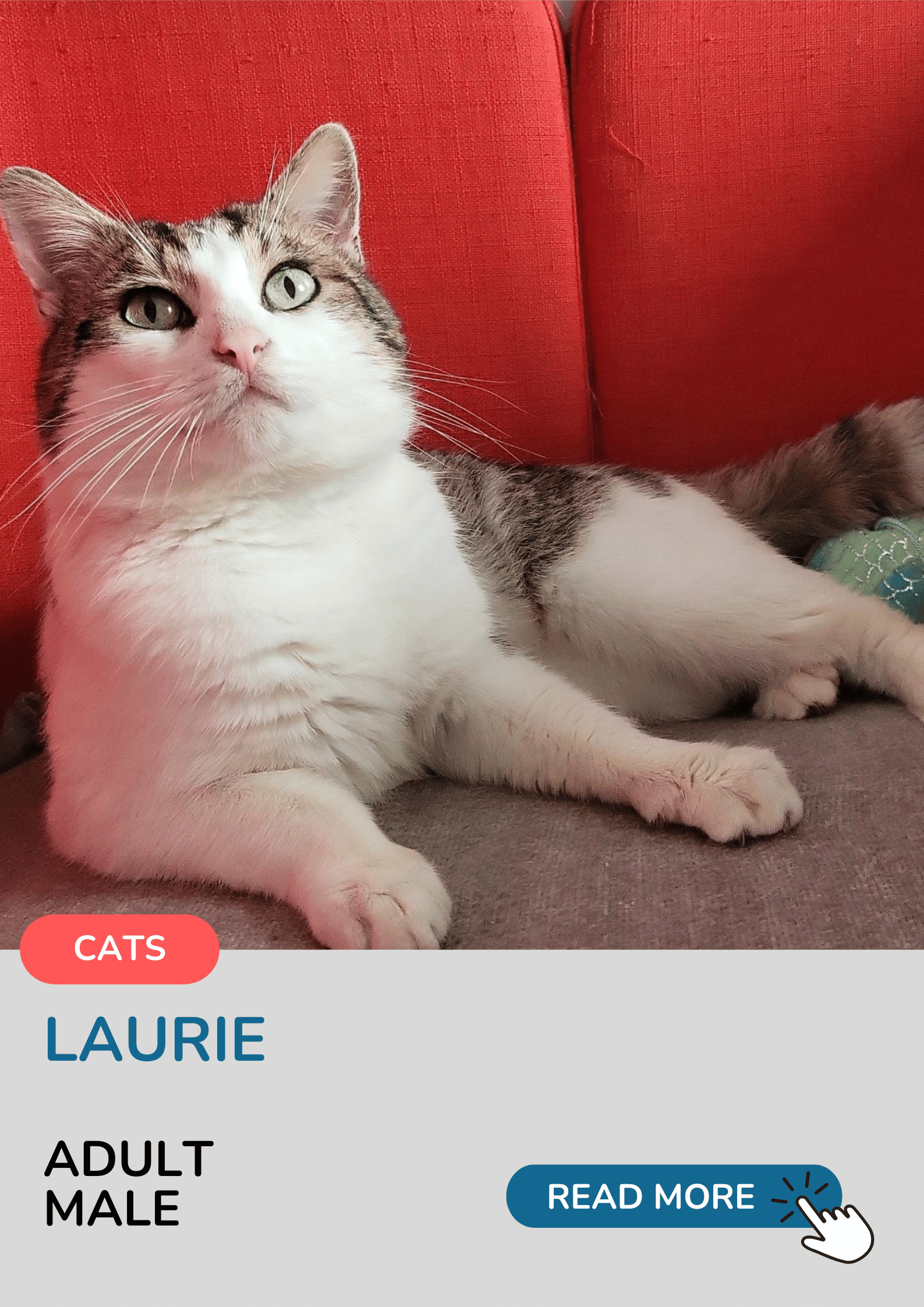 Laurie