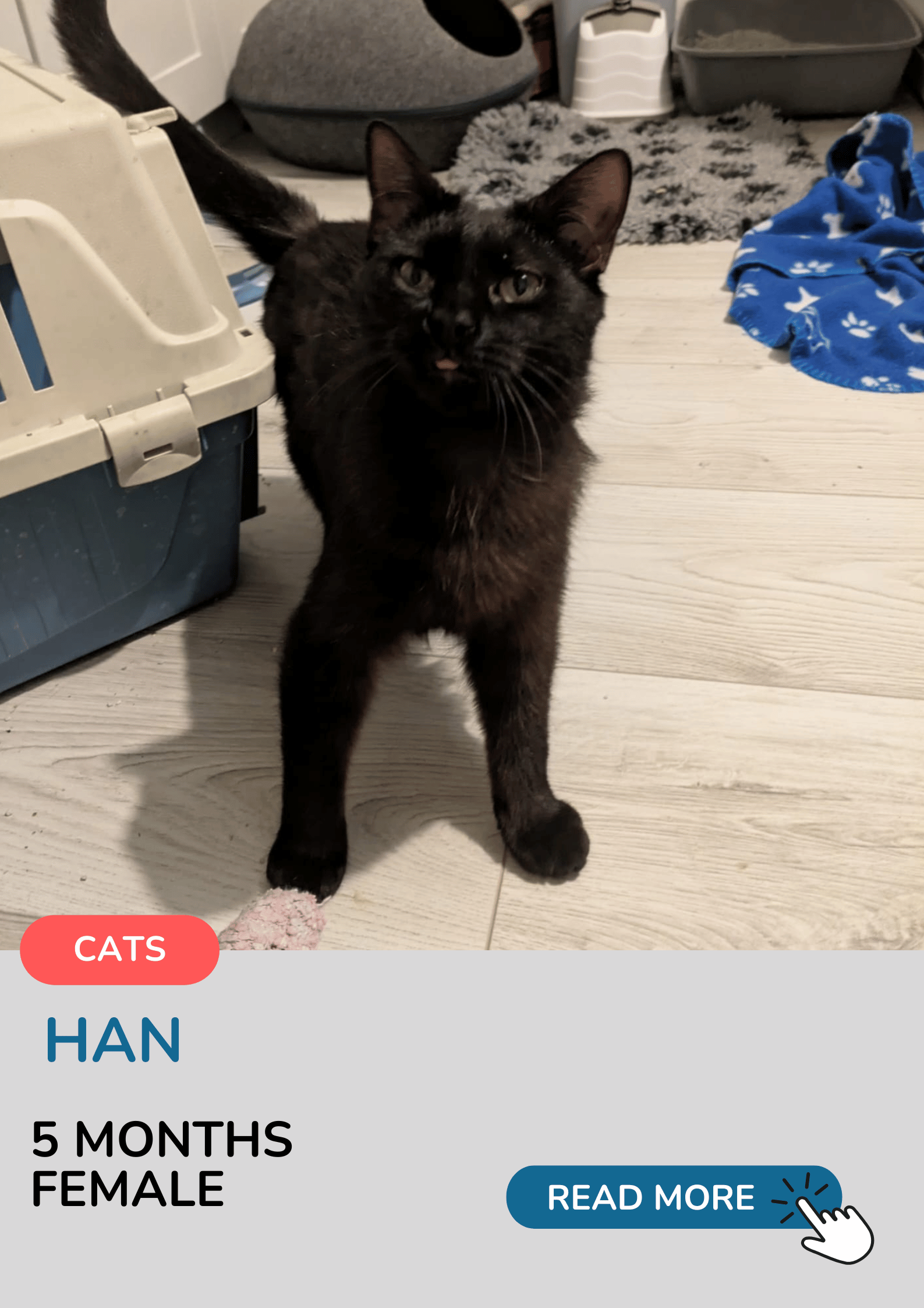 Han