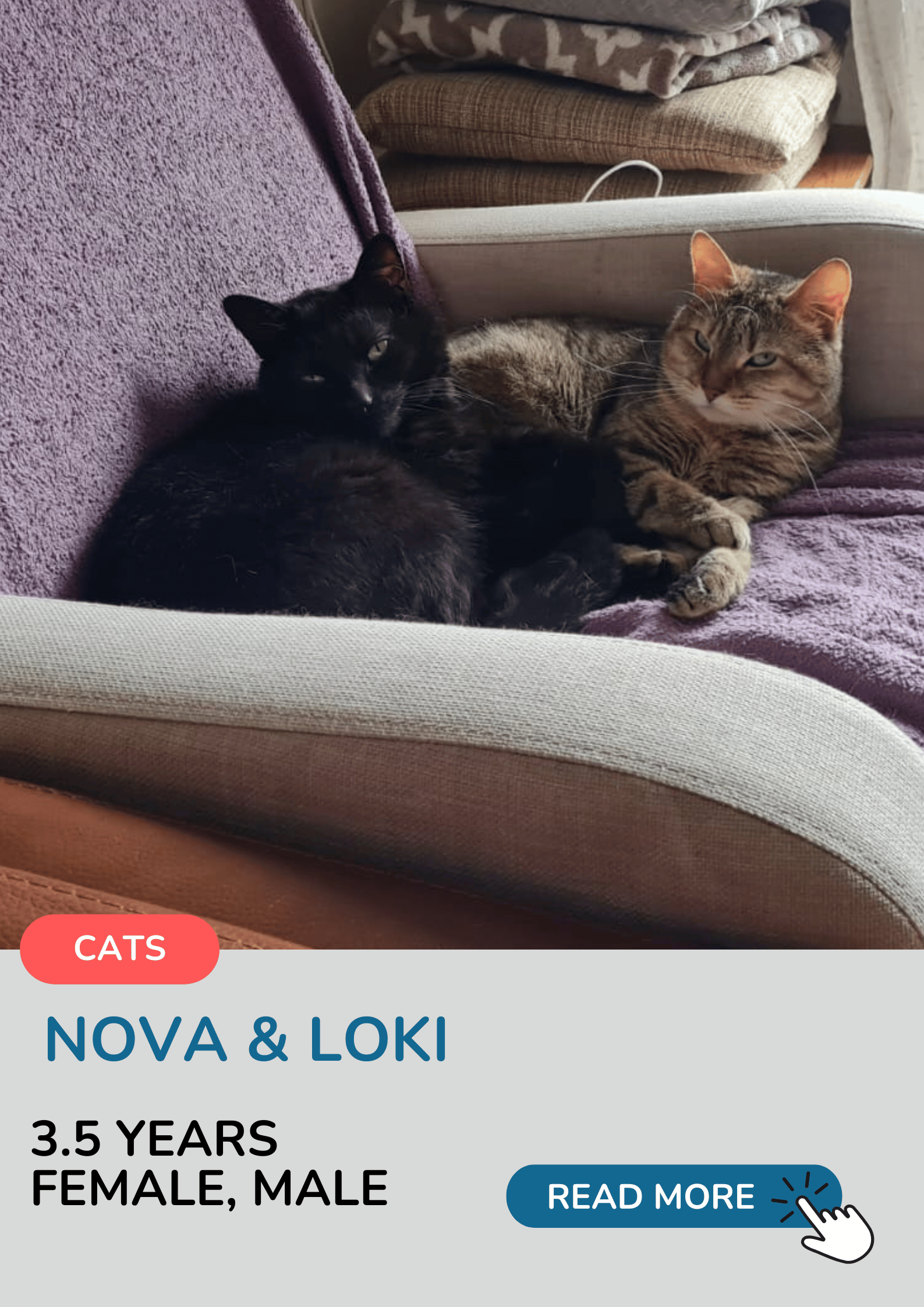 Nova & Loki