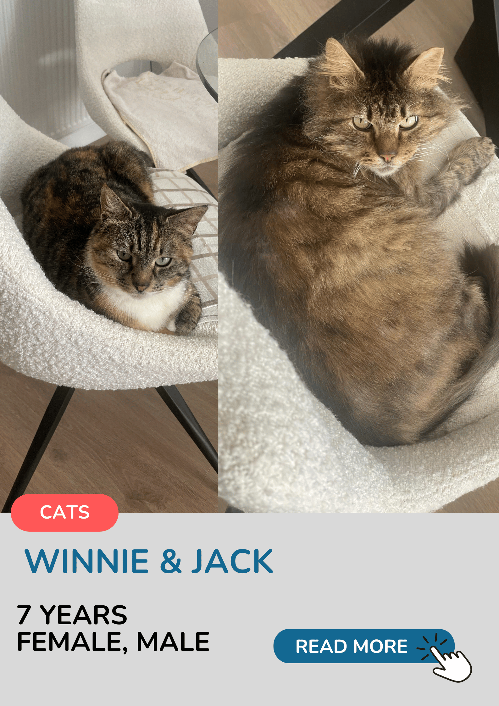 Winnie & Jack