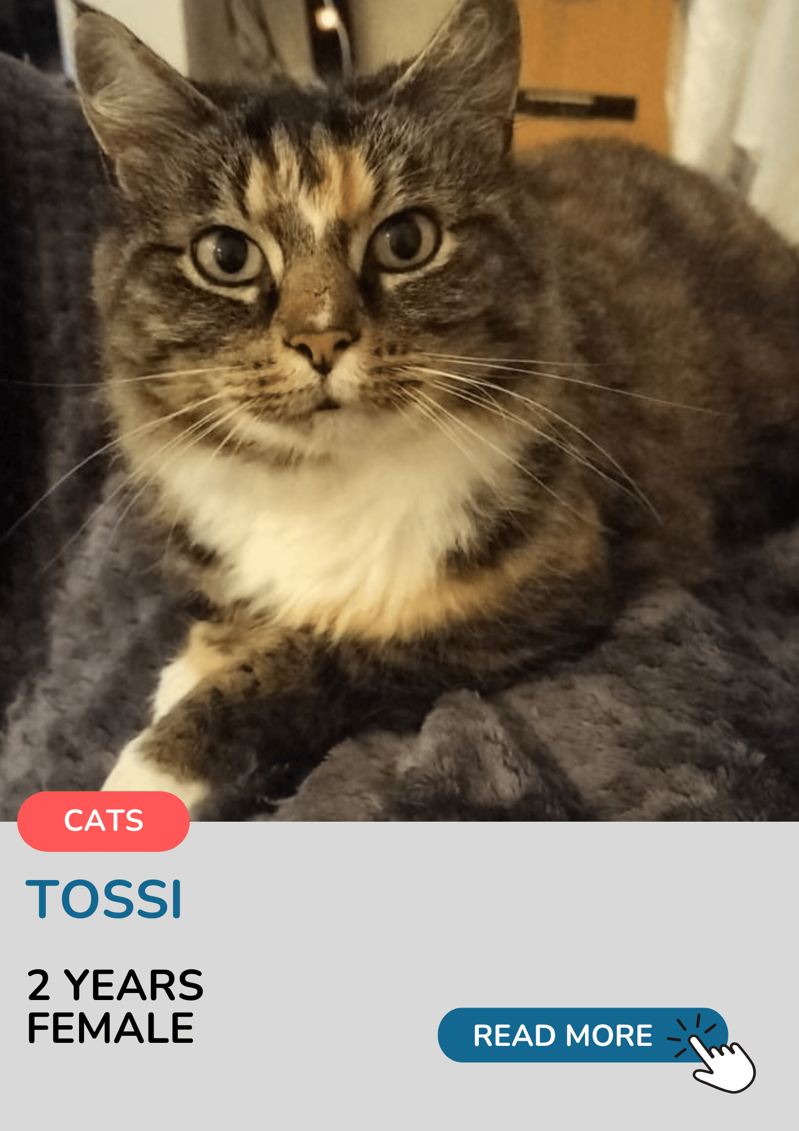 Tossi