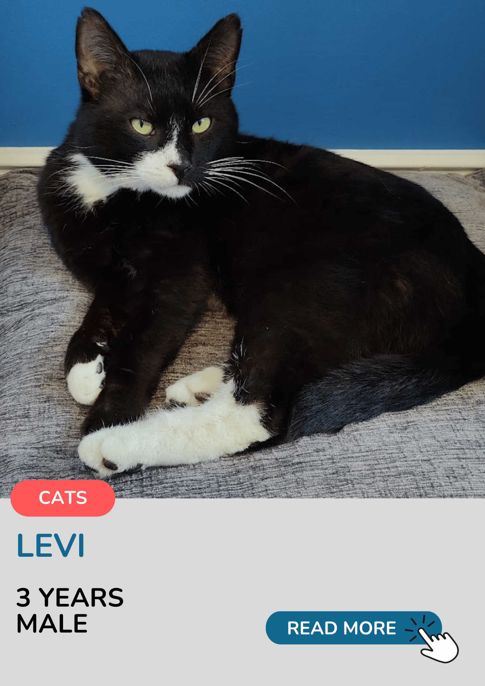 Levi