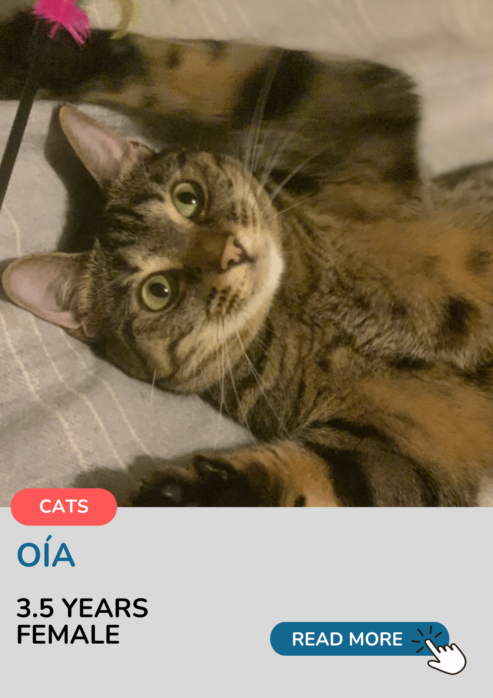 Oia