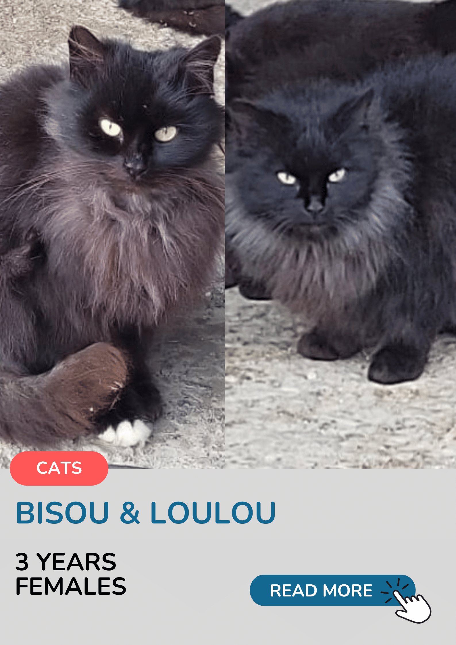 Bisou & Loulou