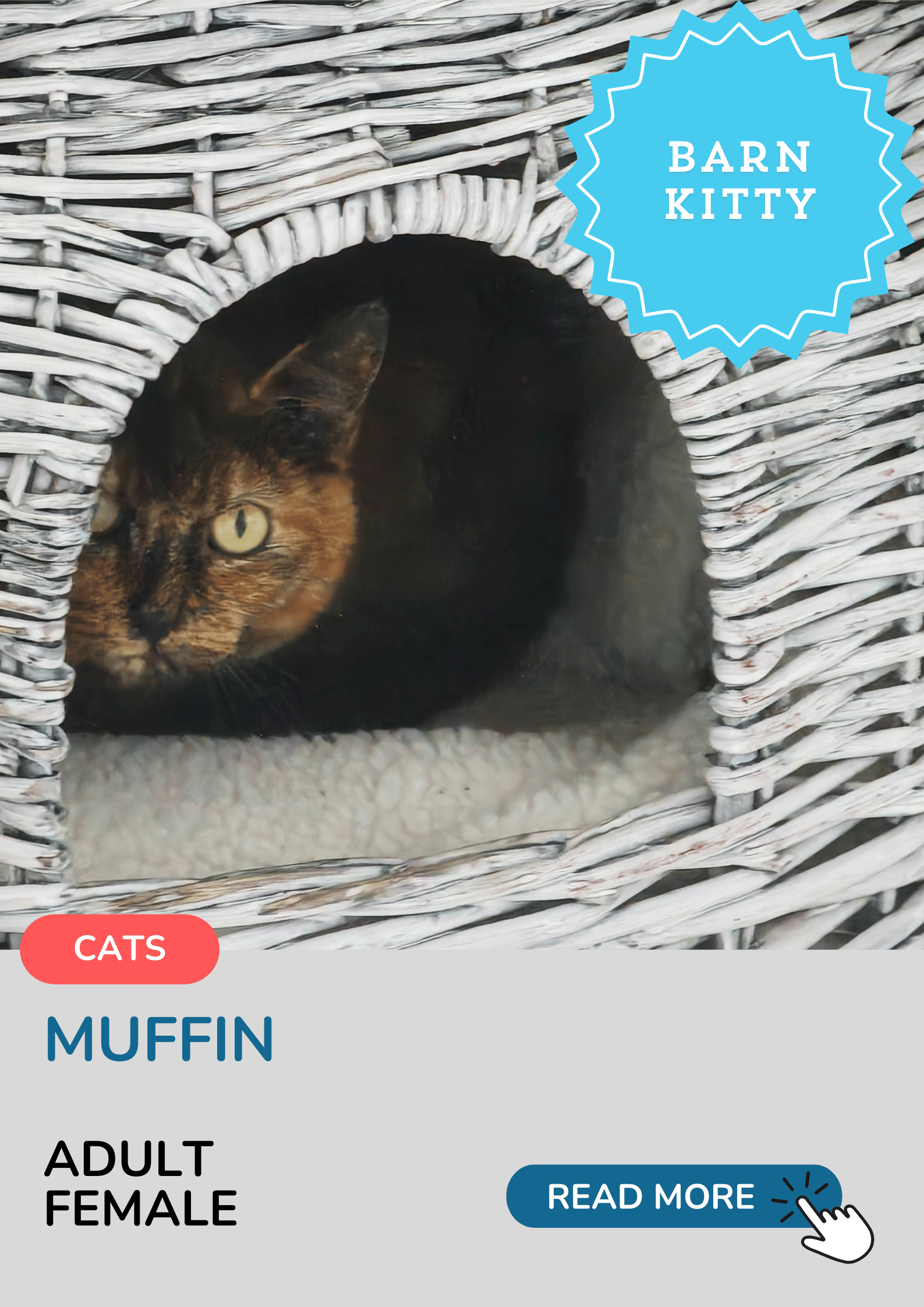 Muffin