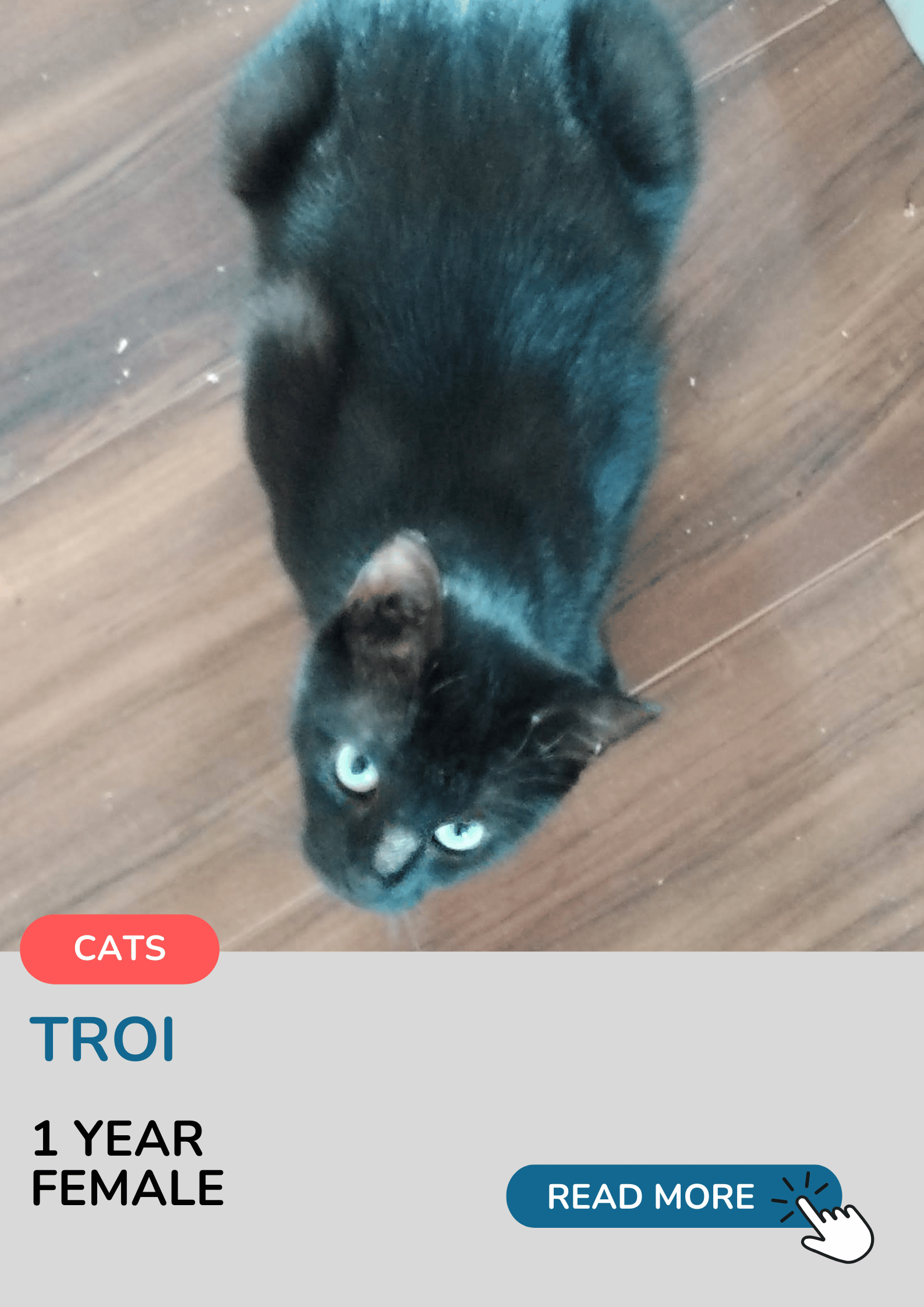 Troi