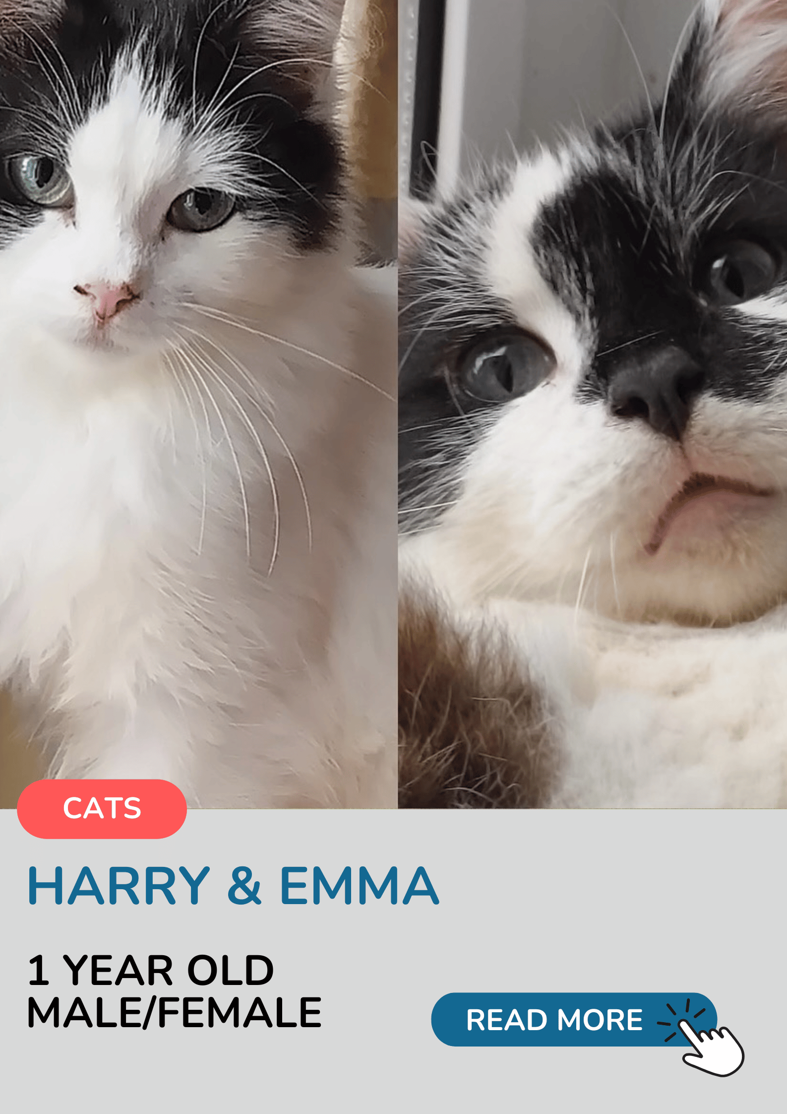 Harry and Emma
