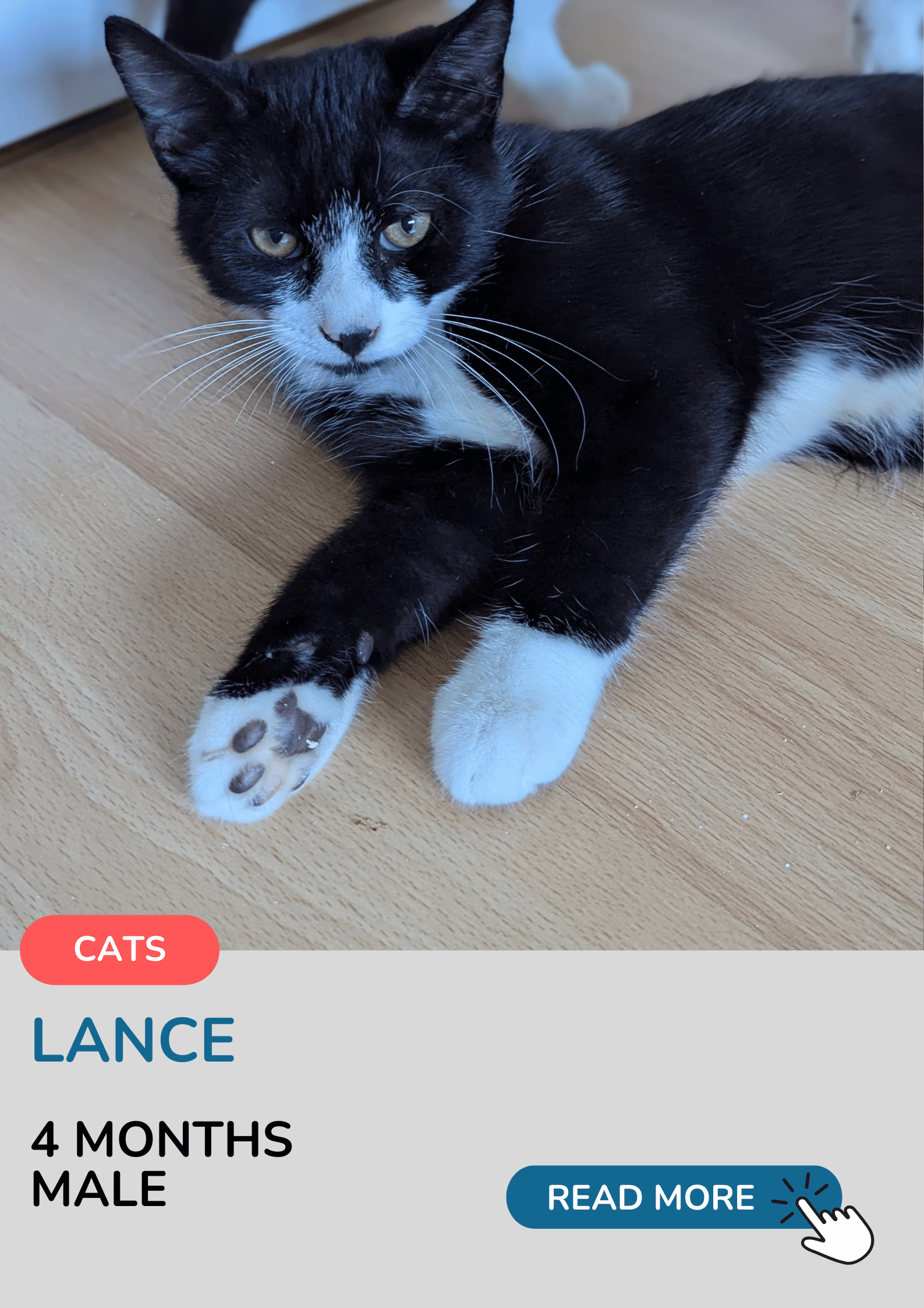 Lance
