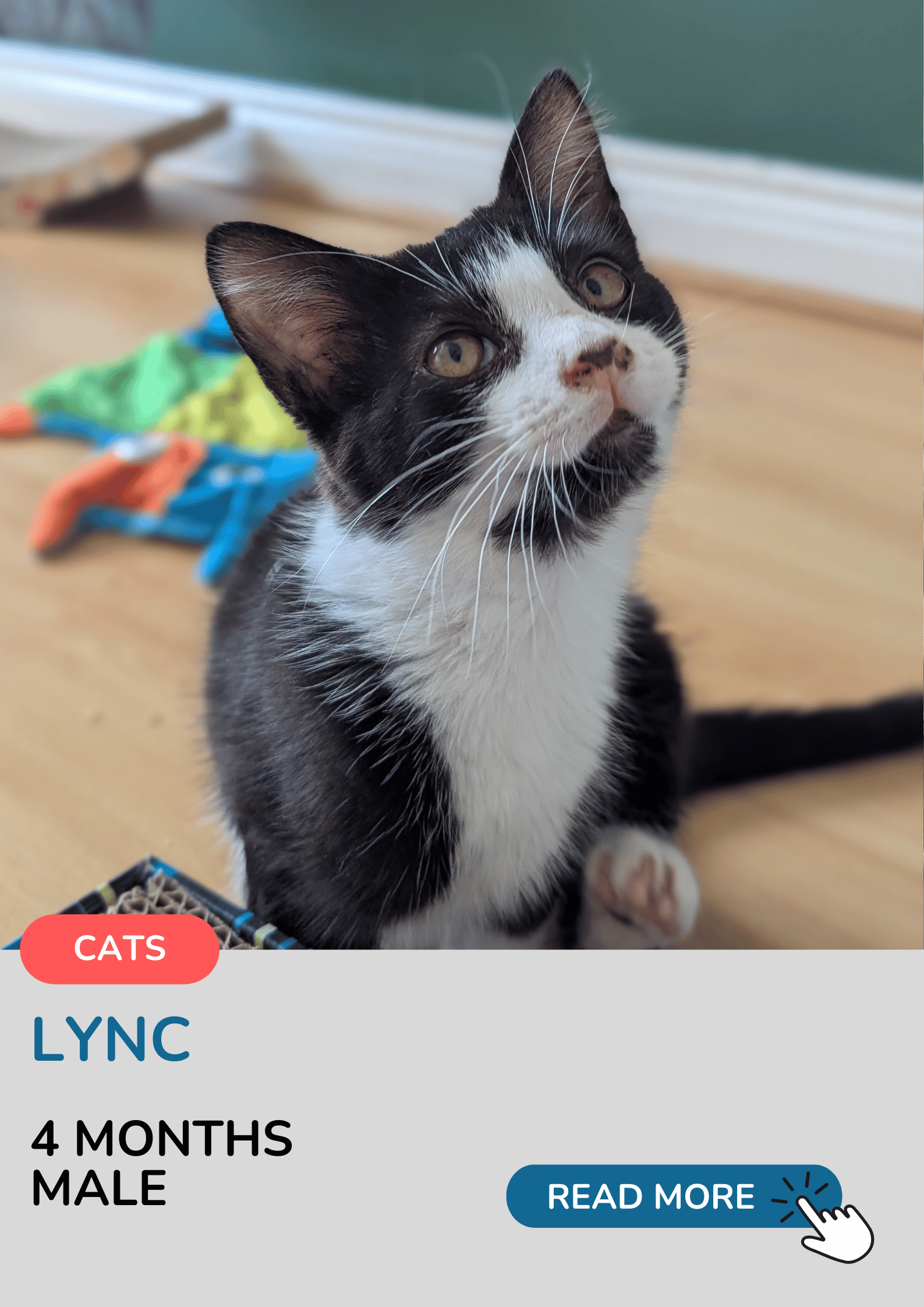 Lync
