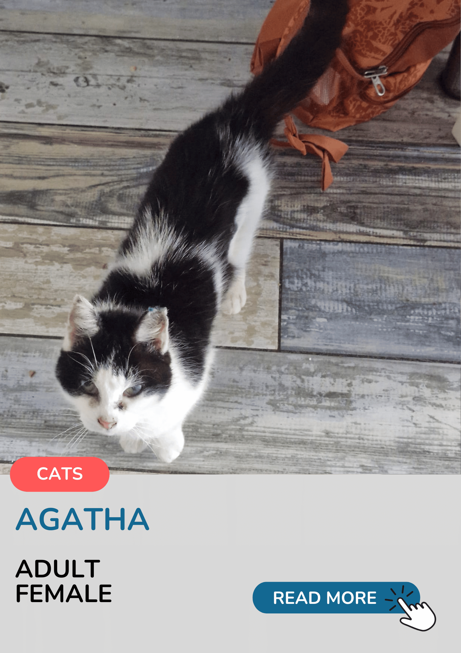 Agatha