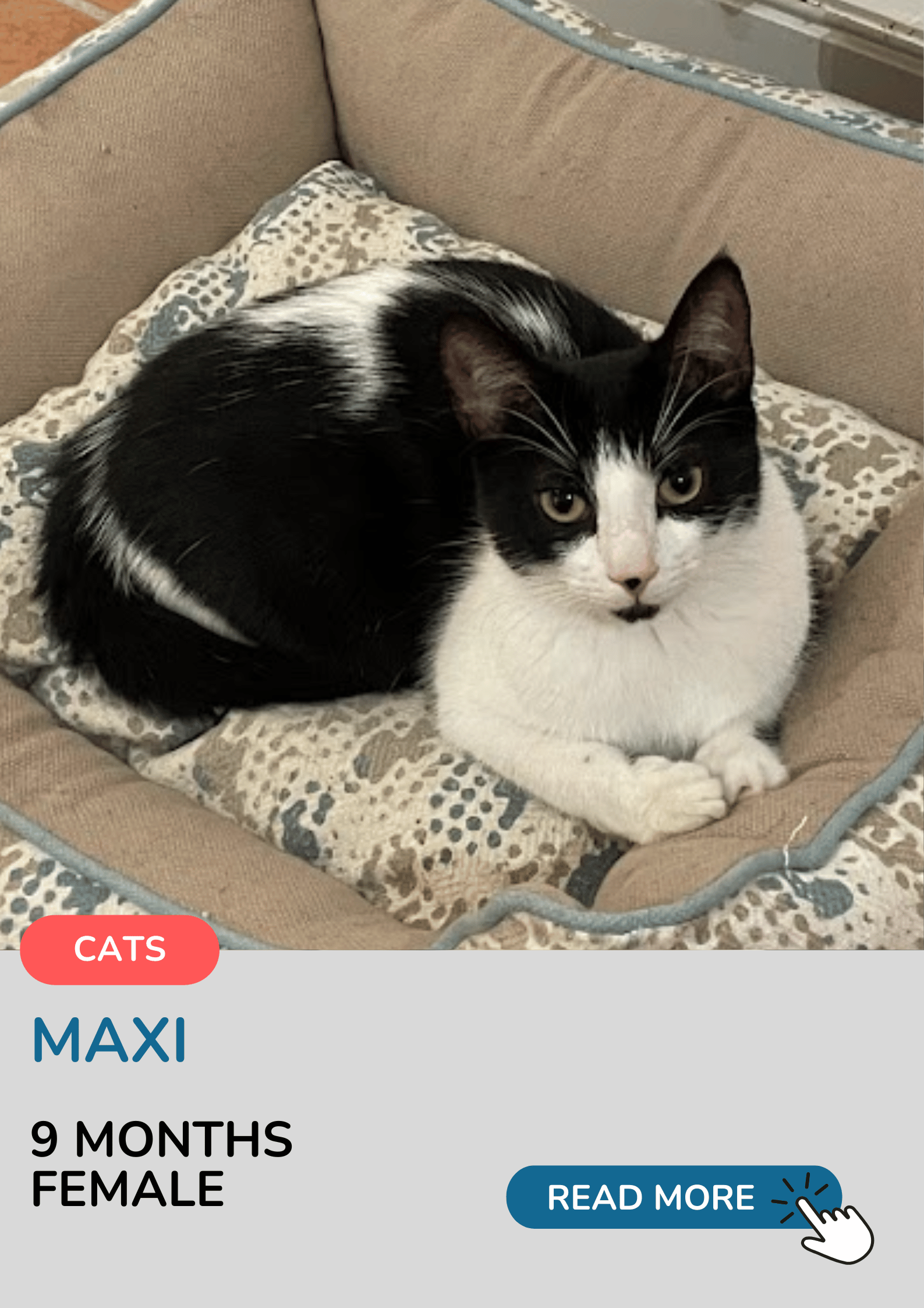 Maxi