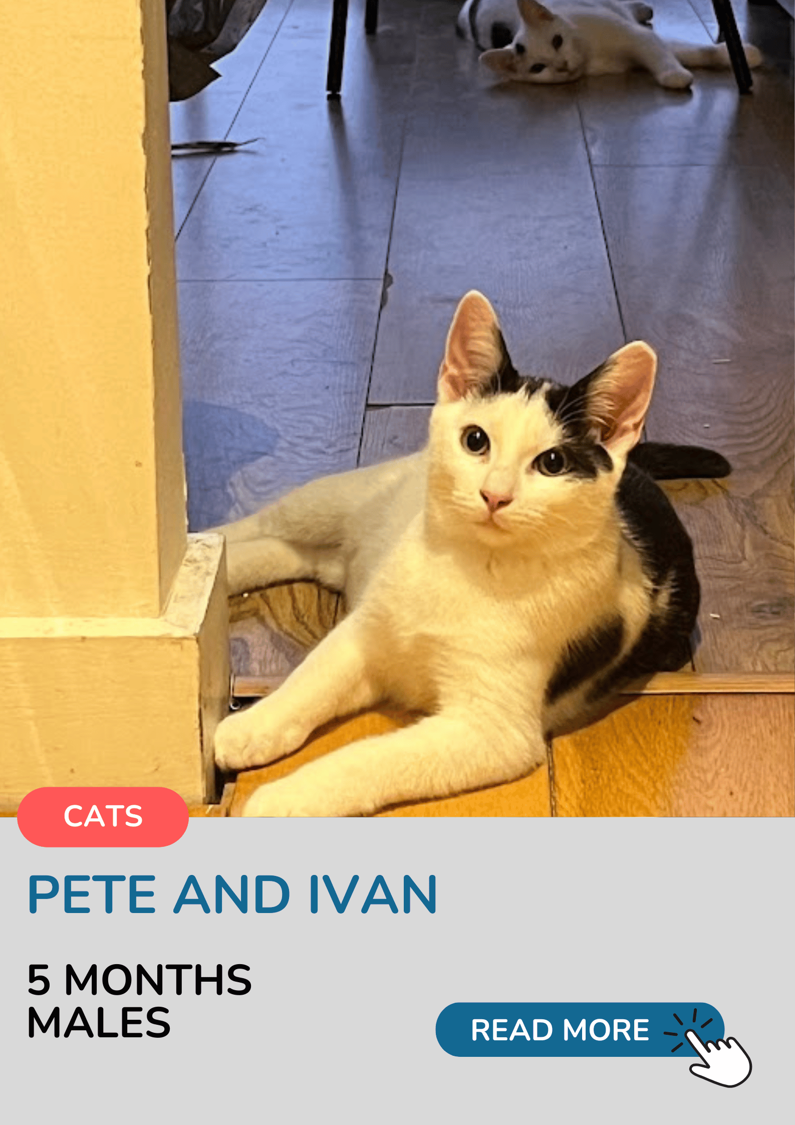 Pete & Ivan